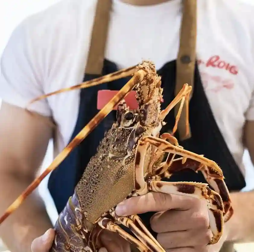 Cap roig restaurant menorca