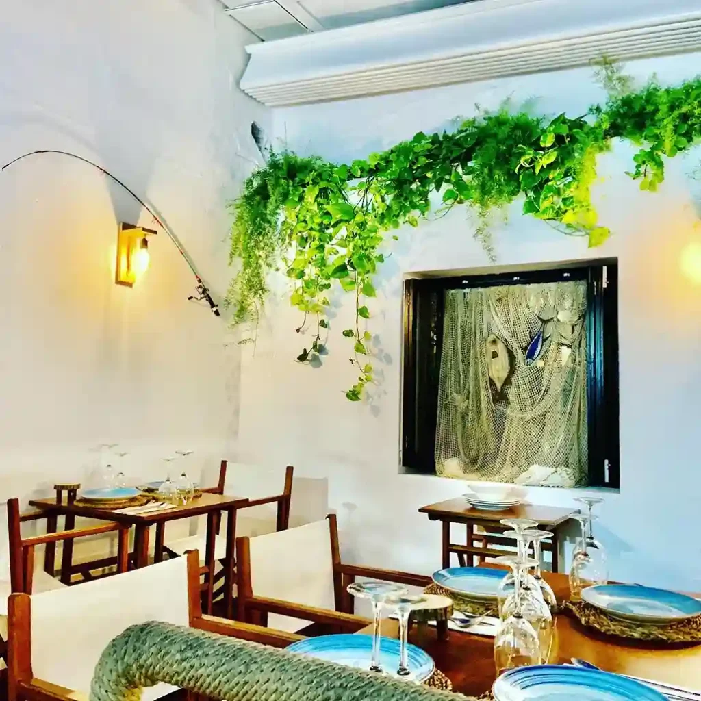 Sa xerxa fornells menorca