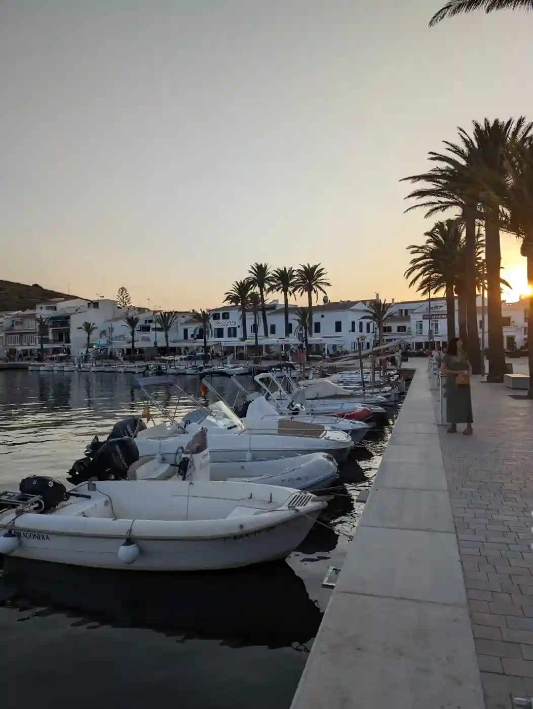 best restaurants fornells menorca