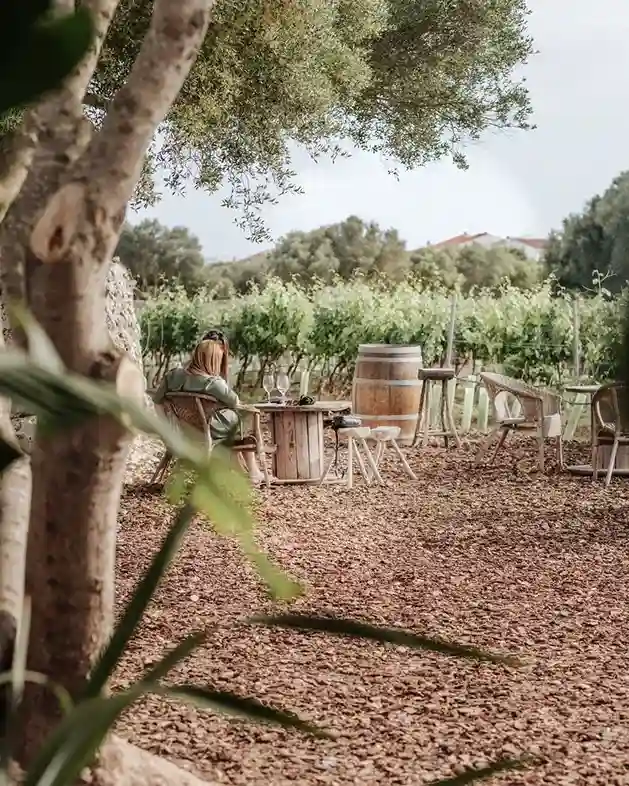 binifadet winery menorca