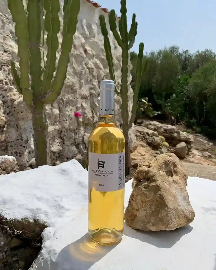 sa-forana-winery-menorca