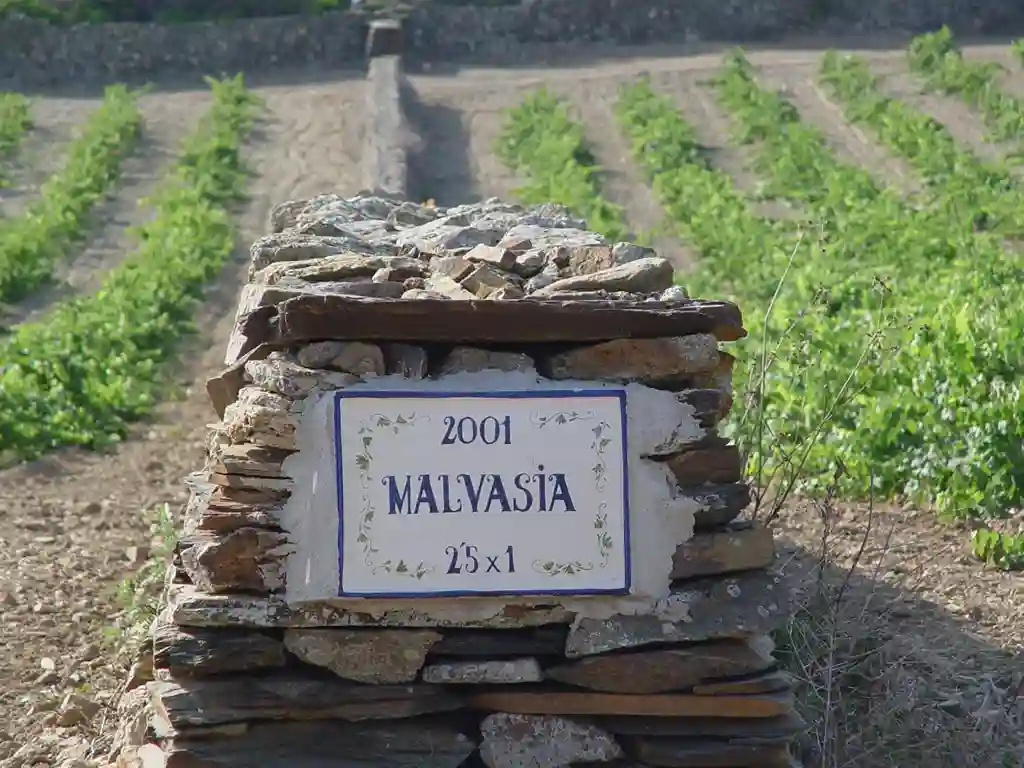 sacudia menorca winery