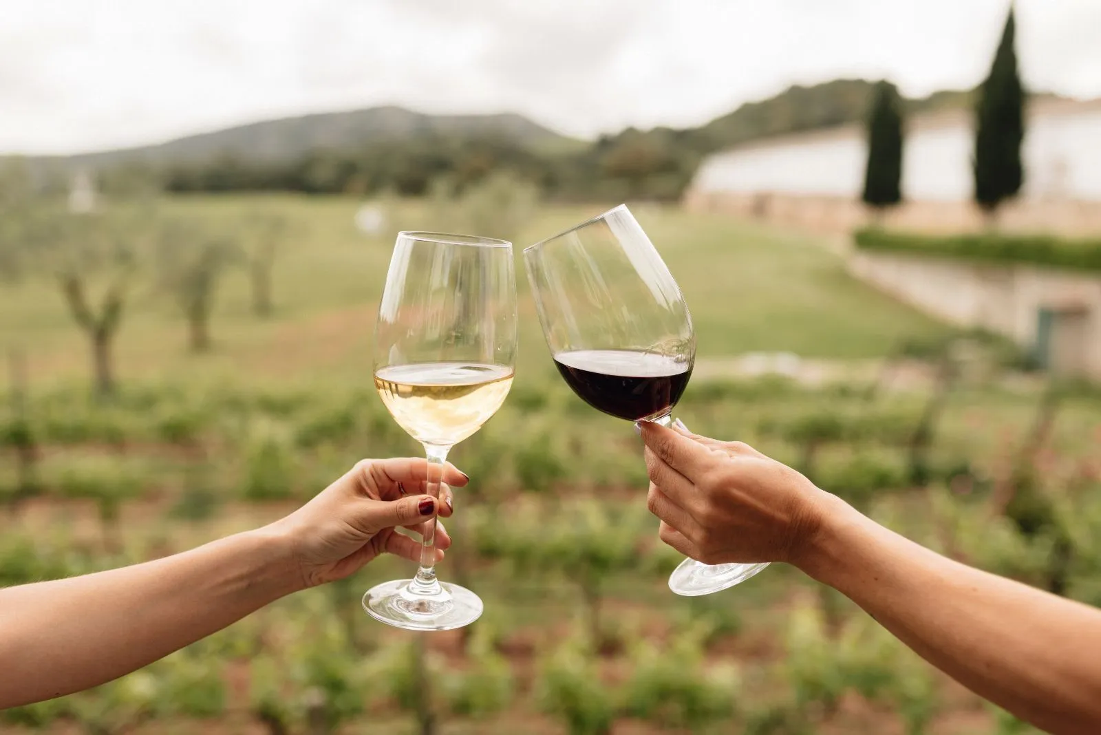 sant-patrici-winery-menorca