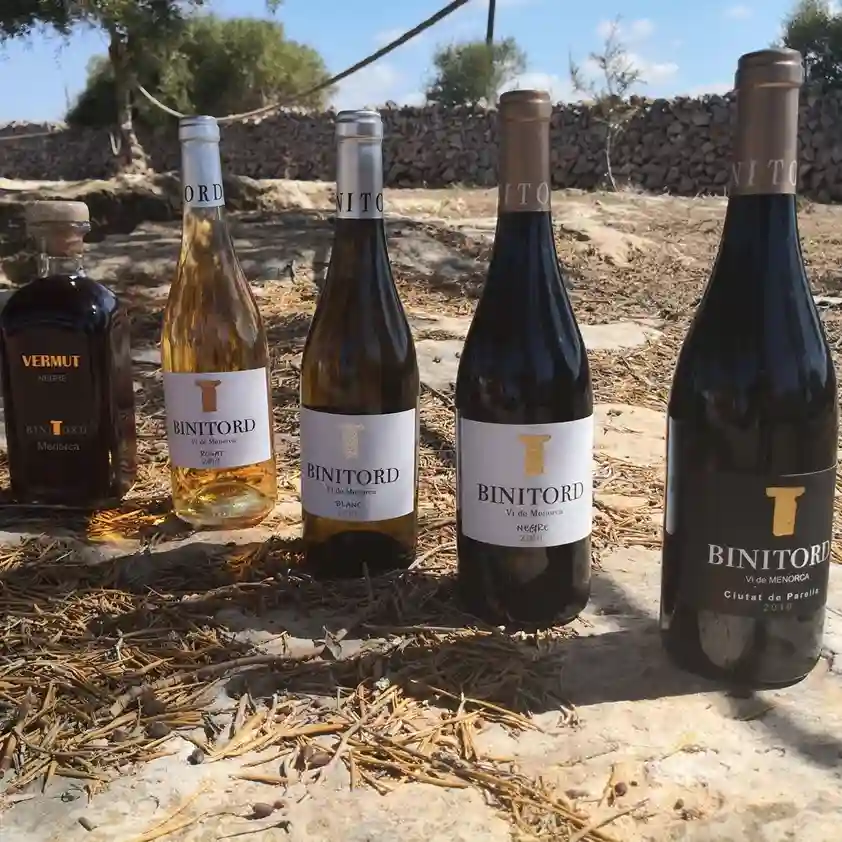 wines-binitord-menorca