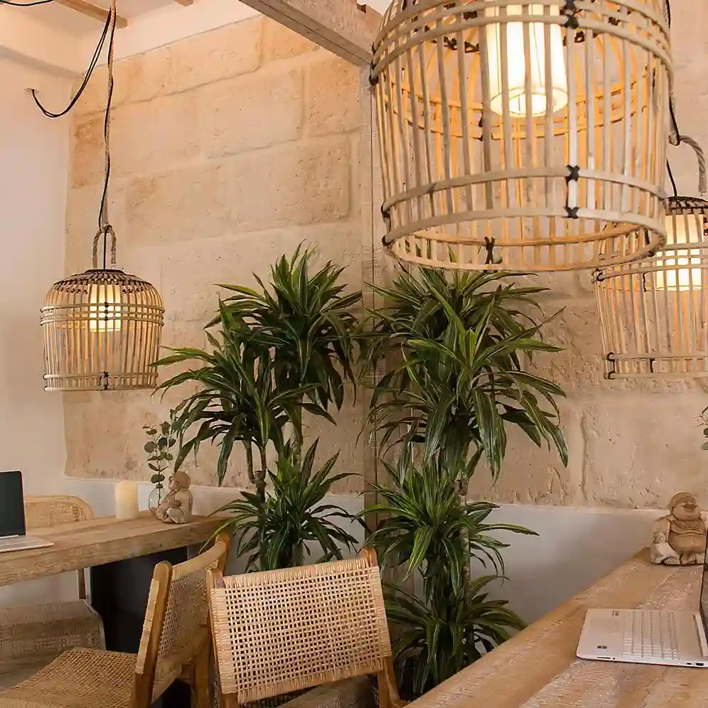 hotel boutique 120 menorca