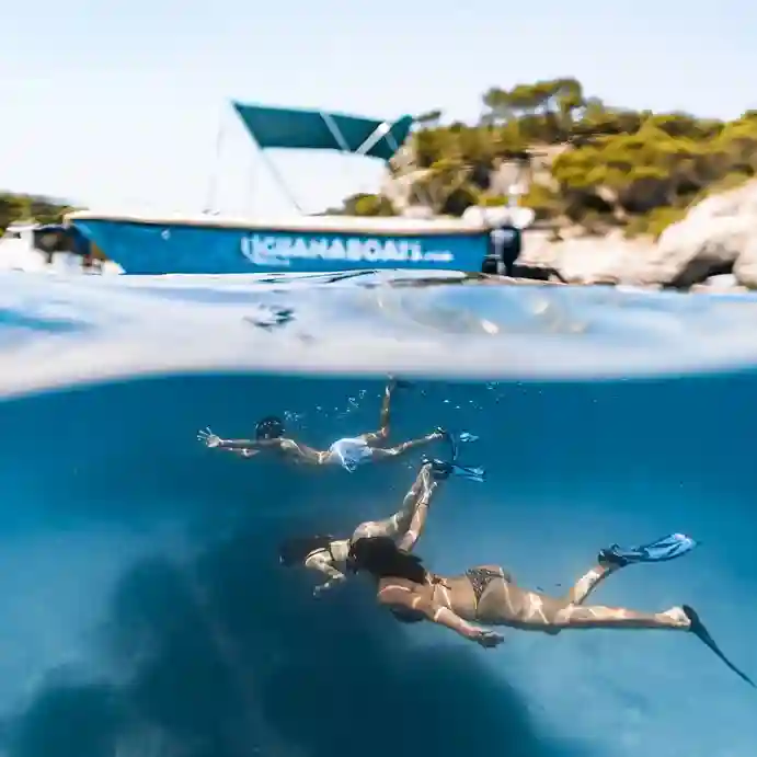 iguana boats