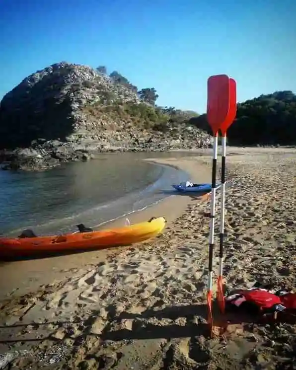 katayak fornells
