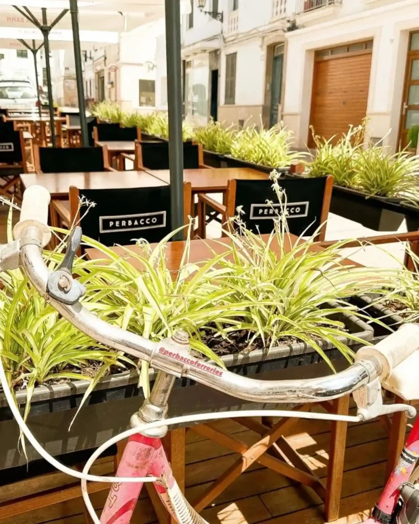 perbacco ferreries restaurant