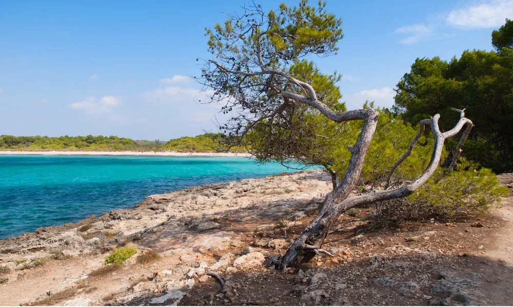 Son Saura menorca
