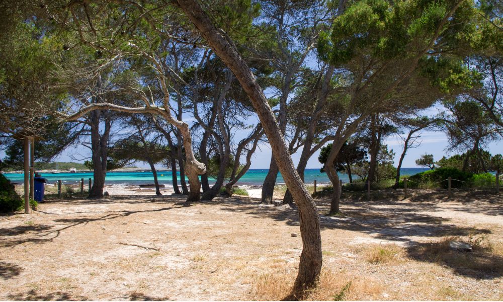 Son Saura menorca