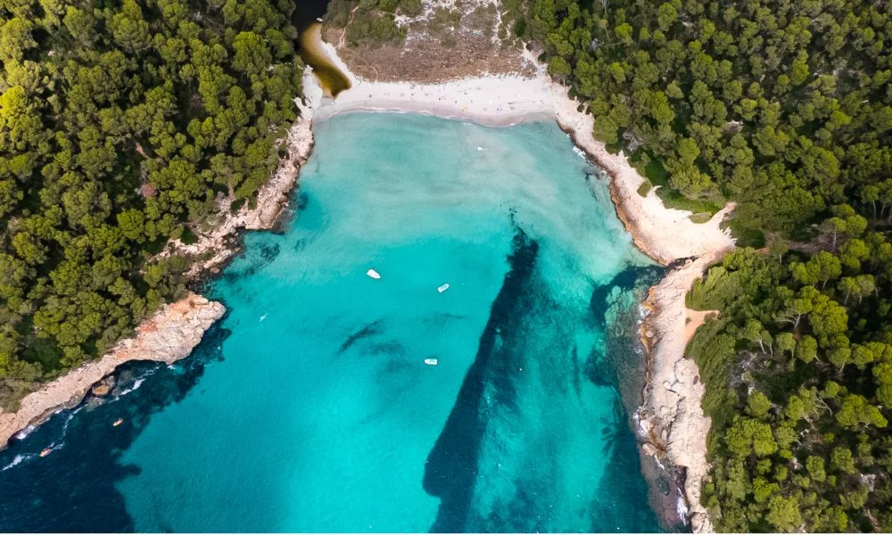 cala trebaluger