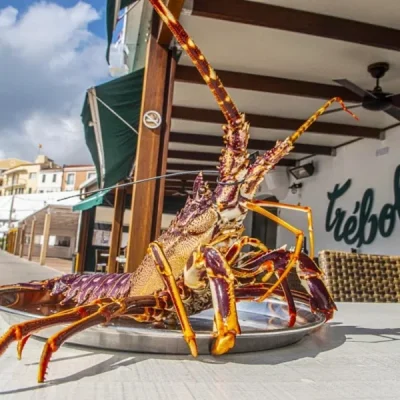 trebol restaurant